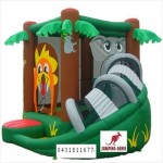Jumping castle 534